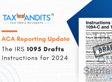 1095 Draft Instructions 2024