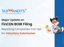 Major Update on FinCEN BOIR Filing: Reporting Companies Can Opt for Voluntary Submission