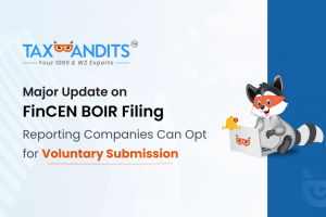 Major Update on FinCEN BOIR Filing: Reporting Companies Can Opt for Voluntary Submission