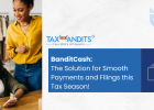 TaxBandits BanditCash feature