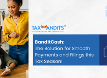 TaxBandits BanditCash feature