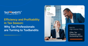 Efficiency and Profitability in Tax Season